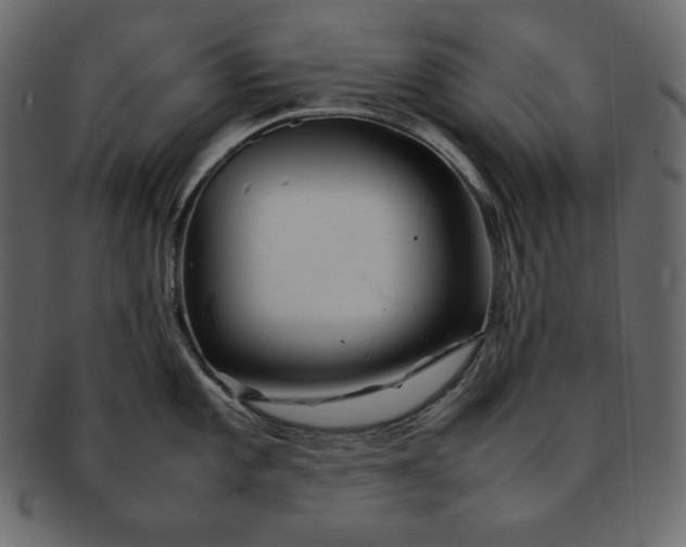 X0000092281101200710051139