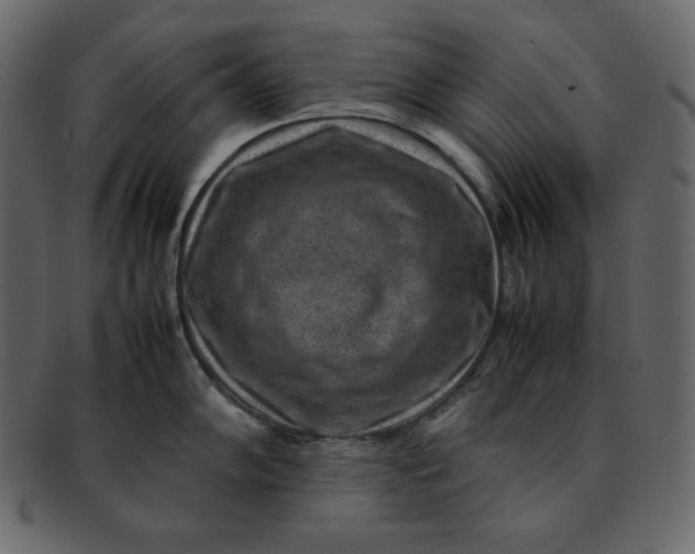 X0000092281102200710051139