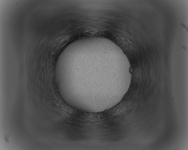 X0000092281105200710051138