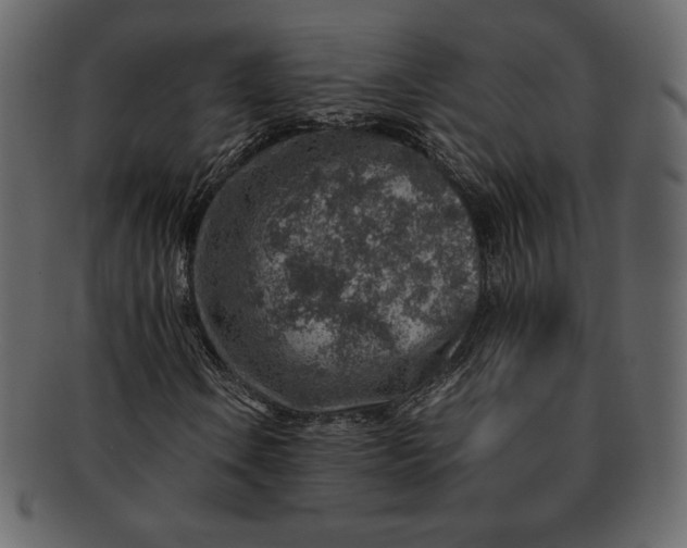 X0000092281106200710051138