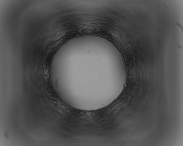 X0000092281109200710051138