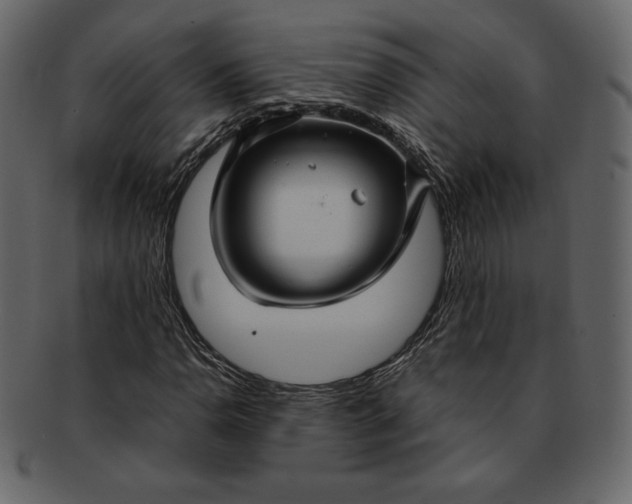 X0000092281110200710051138