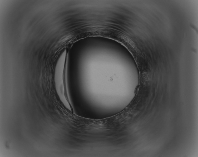 X0000092281111200710051138