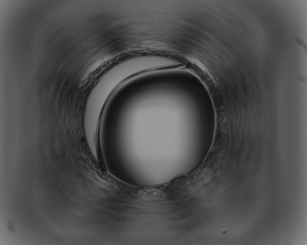 X0000092281112200710051138