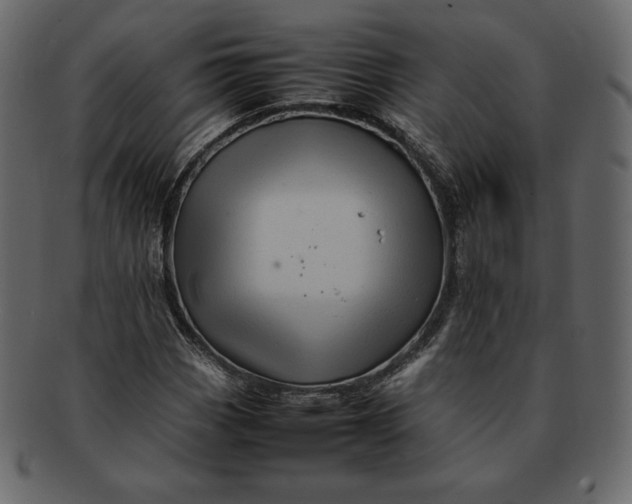 X0000092281113200710051138