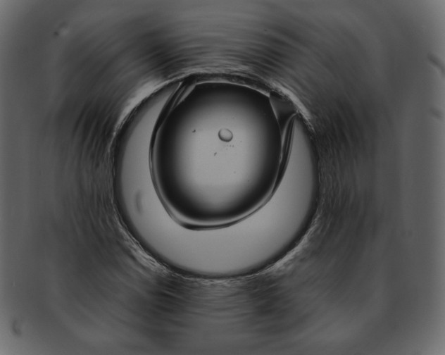 X0000092281114200710051138