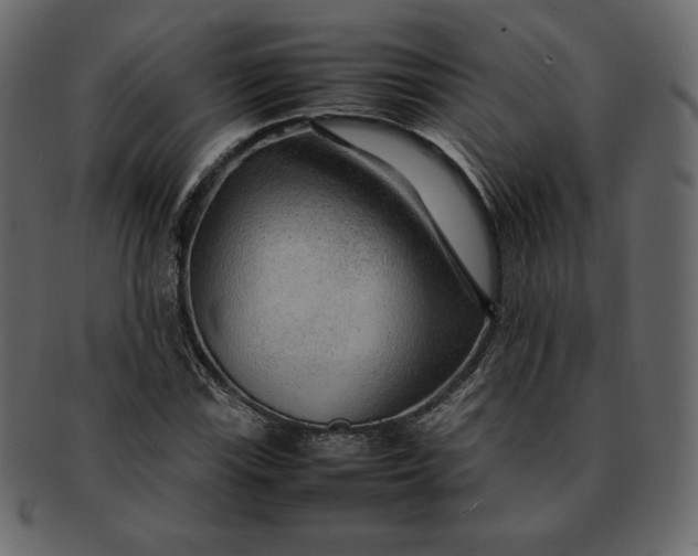 X0000092281115200710051138