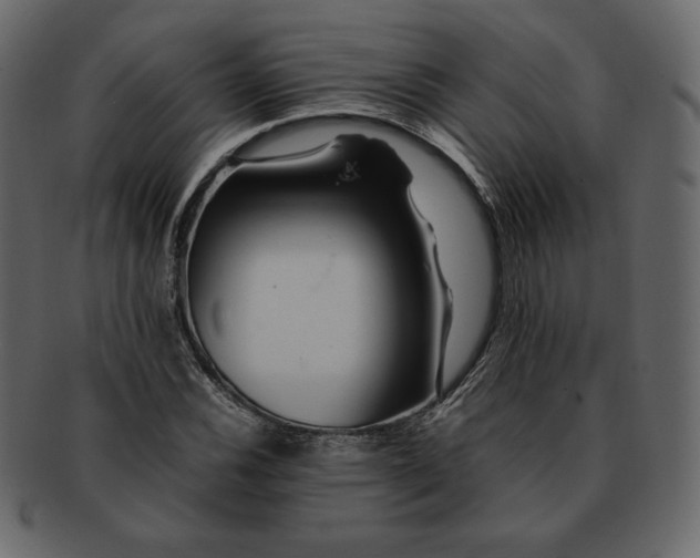 X0000092281116200710051138