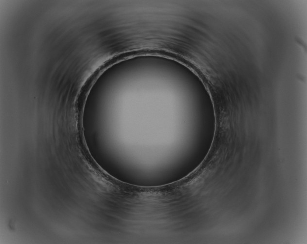 X0000092281118200710051138