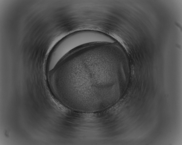 X0000092281120200710051138