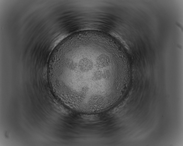 X0000092281121200710051138