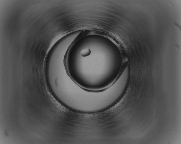 X0000092281122200710051138