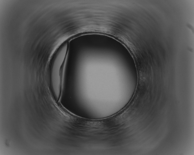 X0000092281123200710051138