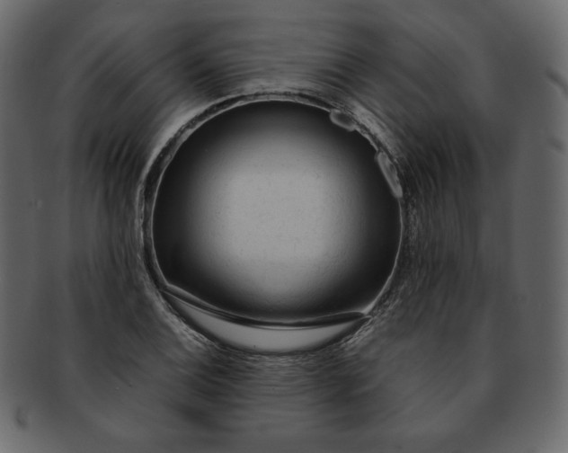 X0000092281124200710051138