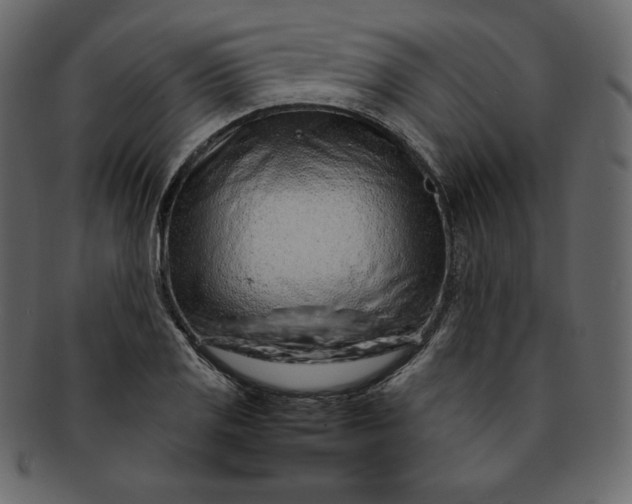 X0000092281125200710051138