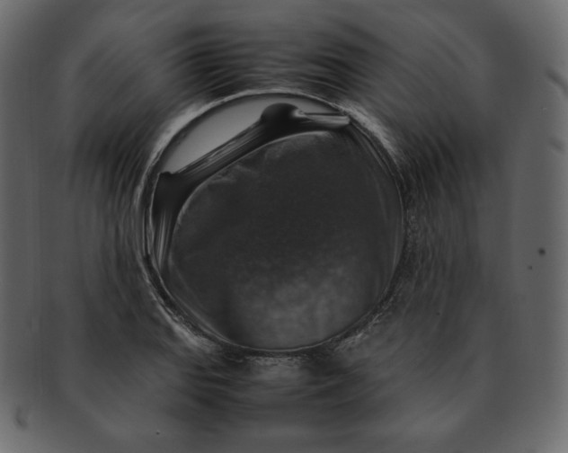 X0000092281127200710051138