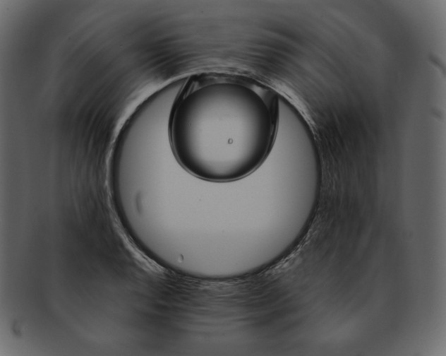 X0000092281128200710051138