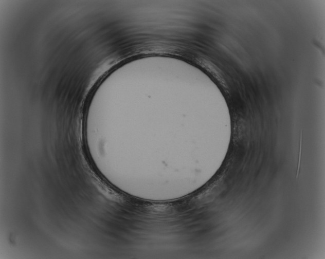 X0000092281130200710051138