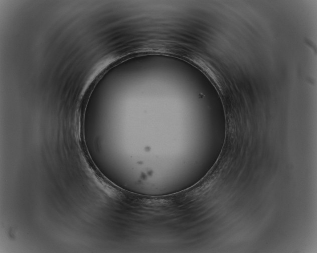 X0000092281131200710051138