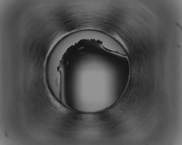 X0000092281132200710051138