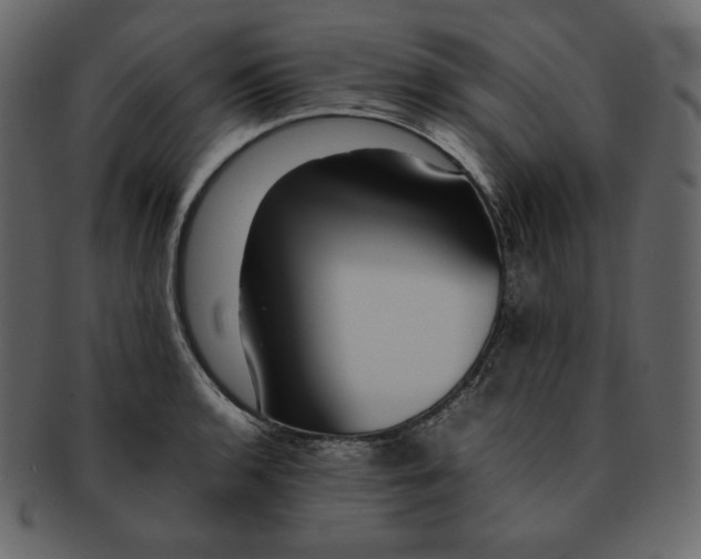 X0000092281136200710051138