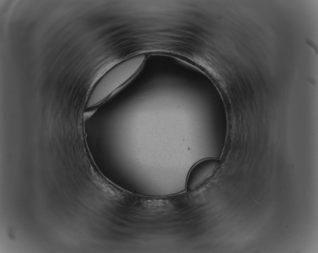 X0000092281137200710051138