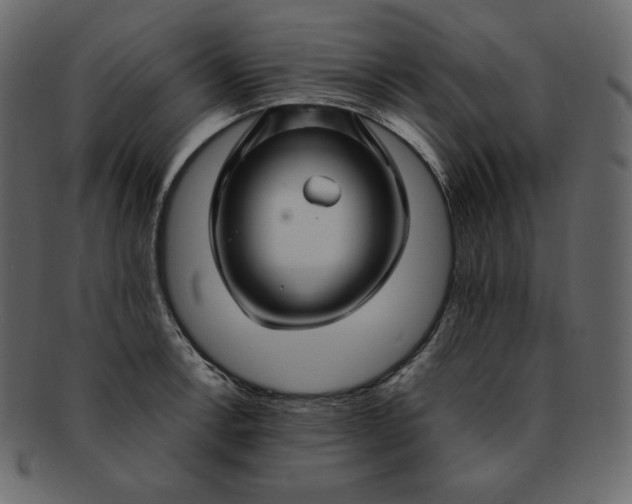 X0000092281138200710051138