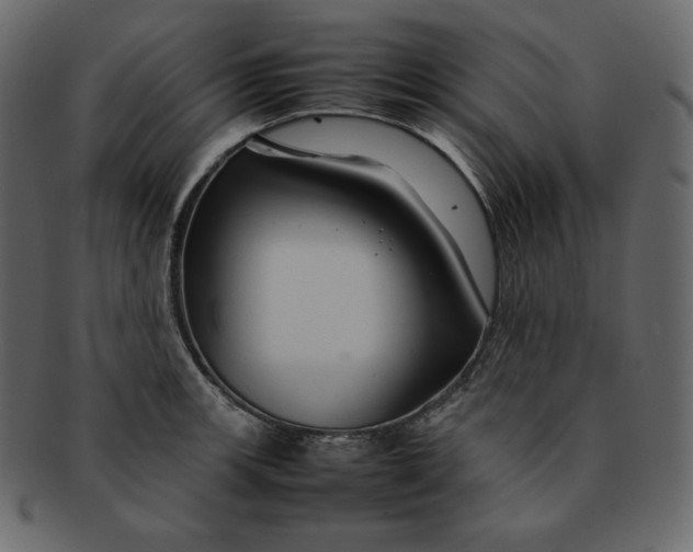 X0000092281139200710051138