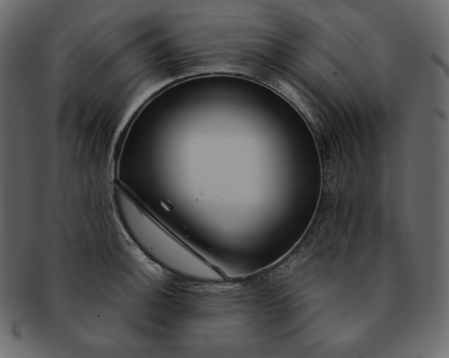 X0000092281140200710051138