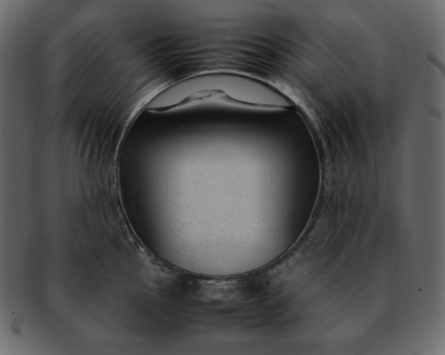 X0000092281145200710051139