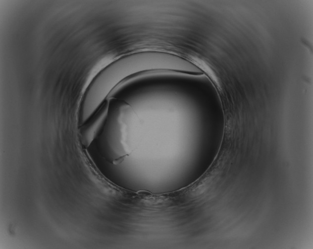 X0000092281146200710051139