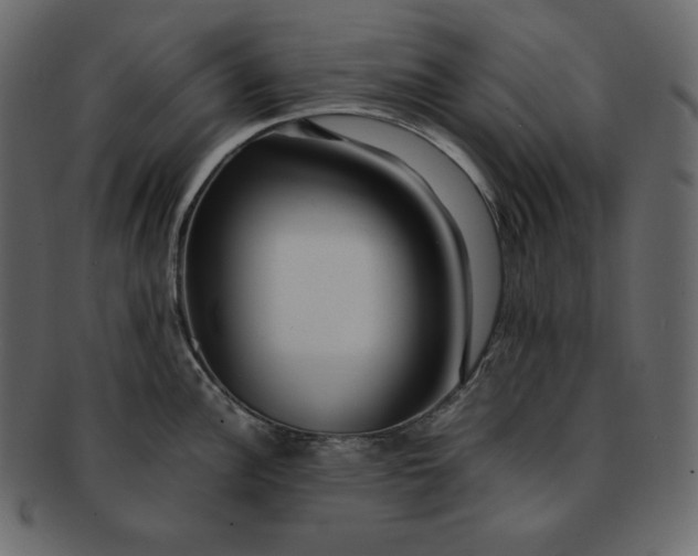 X0000092281148200710051139