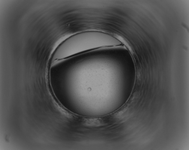 X0000092281149200710051139