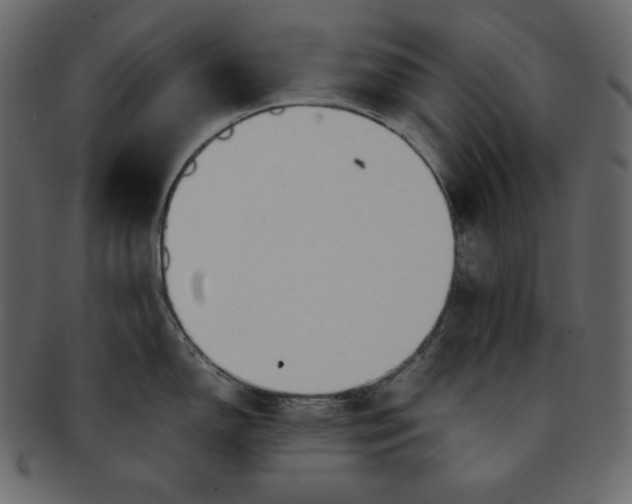 X0000092281150200710051139