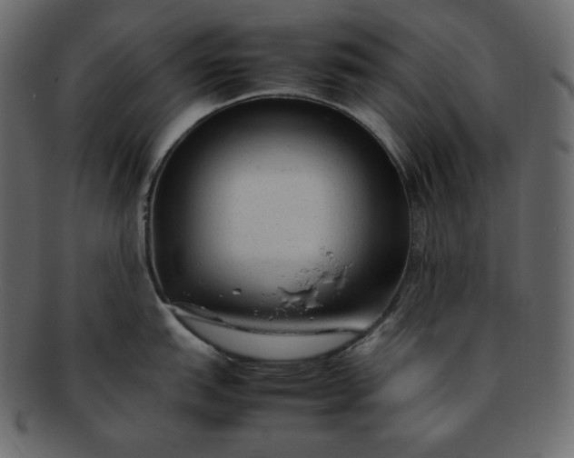 X0000092281151200710051139