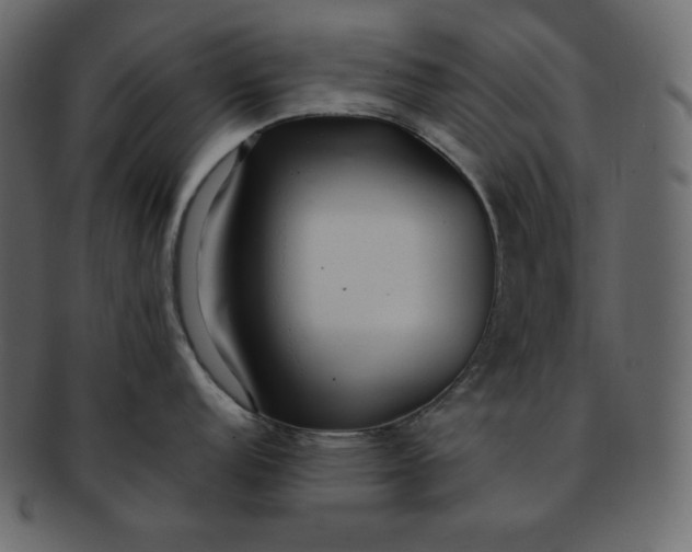 X0000092281152200710051139