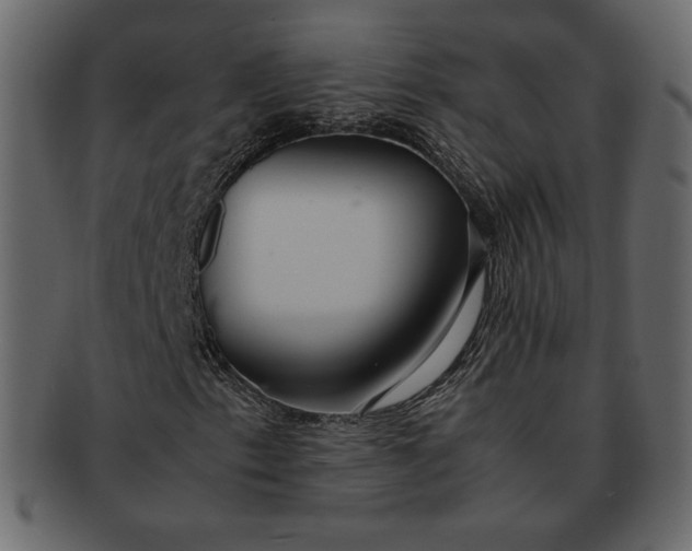 X0000092281153200710051138