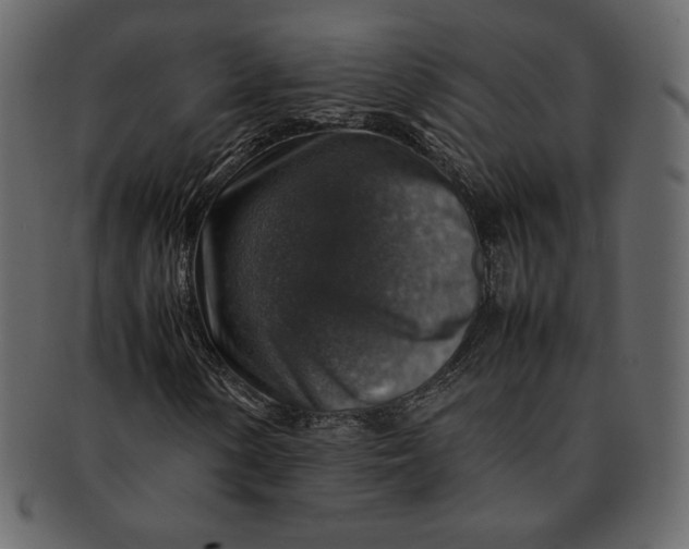 X0000092281154200710051138