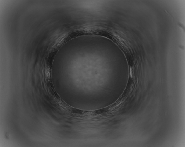 X0000092281155200710051138