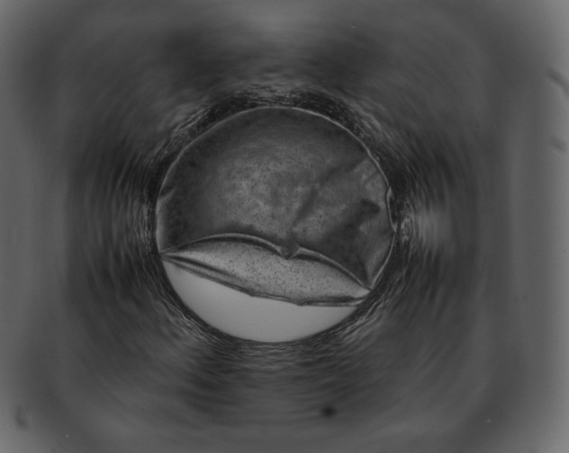 X0000092281156200710051138