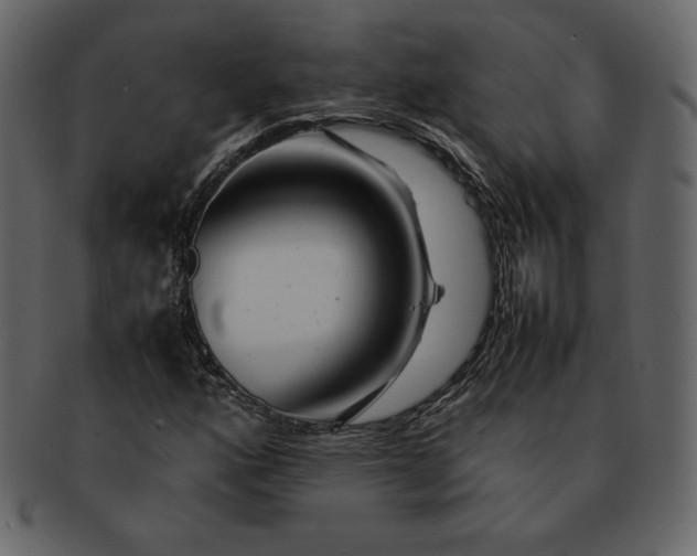 X0000092281160200710051138