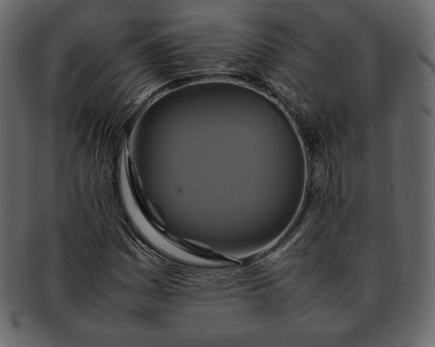 X0000092281161200710051138