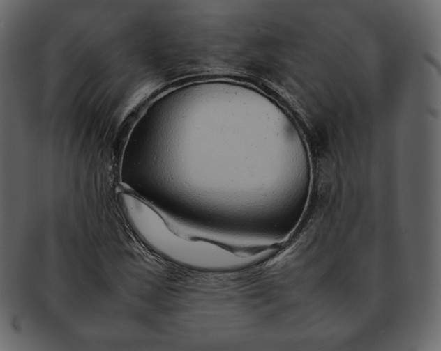 X0000092281163200710051138