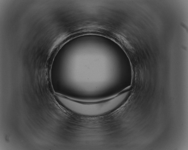 X0000092281164200710051138