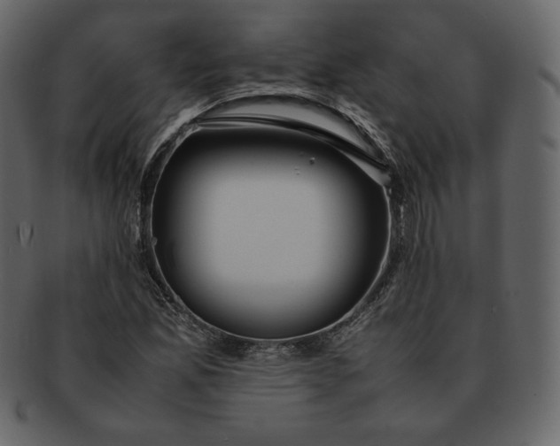 X0000092281165200710051138