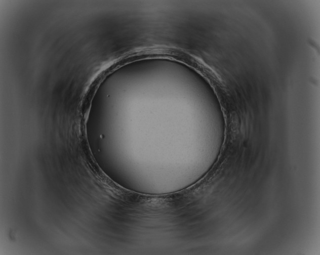 X0000092281166200710051138