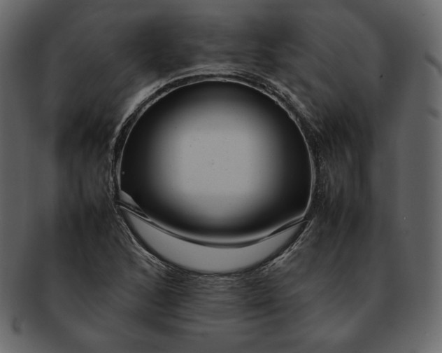 X0000092281168200710051138