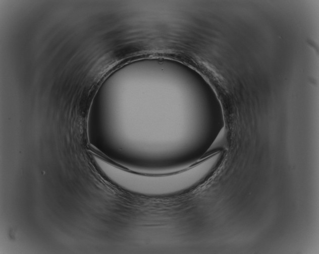 X0000092281169200710051138