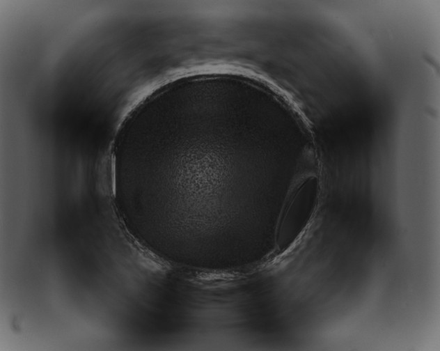 X0000092281171200710051138