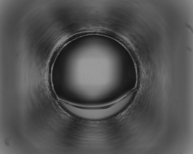 X0000092281172200710051138